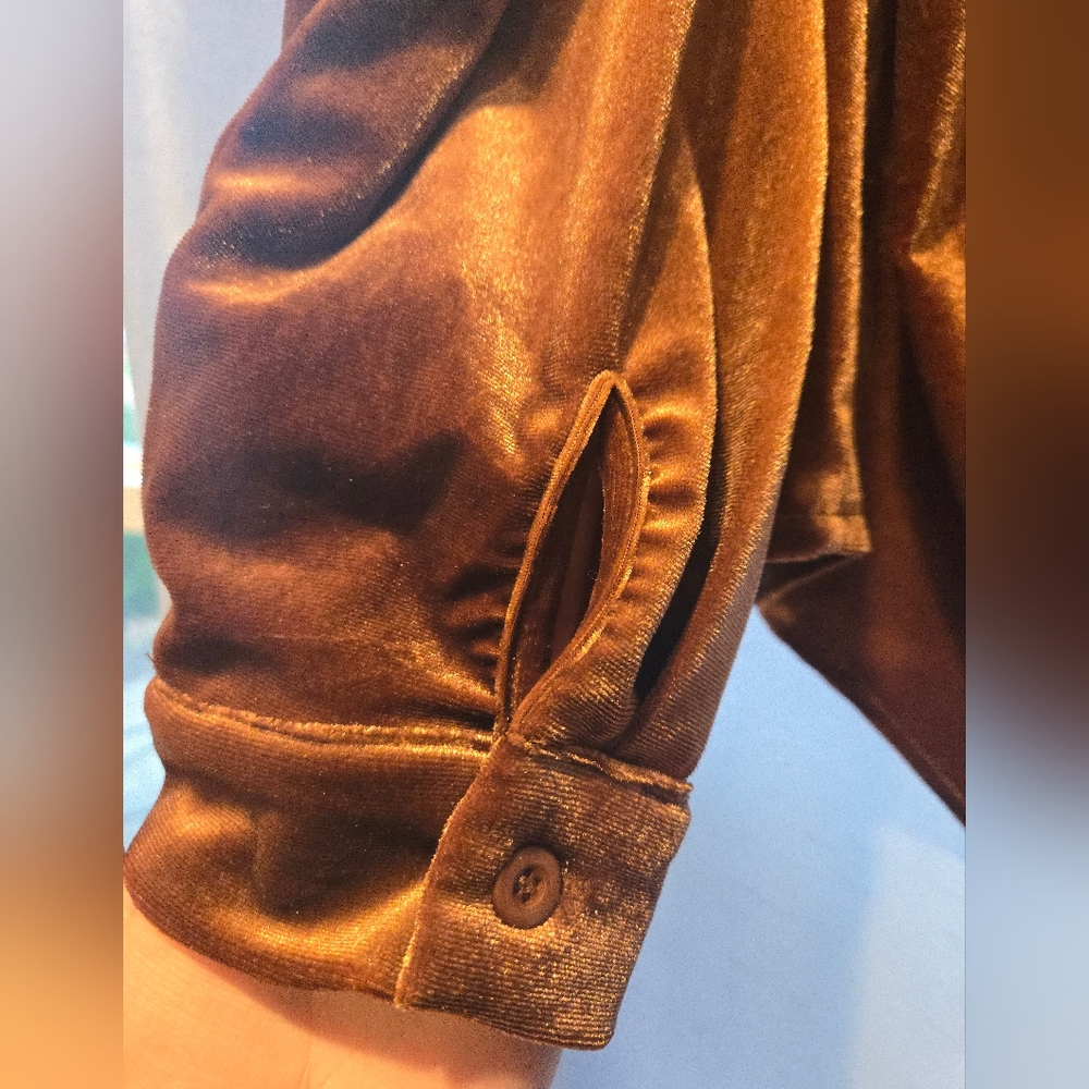 Copper Velvet Button-Down Shirt - Picture 2 of 6